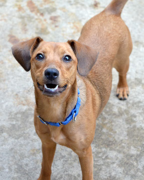 This boy was all smiles for the camera!