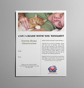 Flyer designed for foster home orientation. 