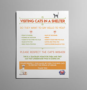 A colorful print flyer explaining the proper way to visit a cat in a shelter kennel. 